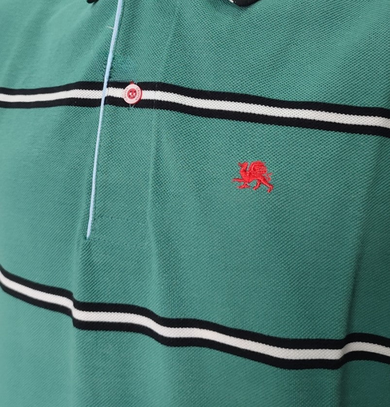 POLO VERDE RAYA AZUL MARINO