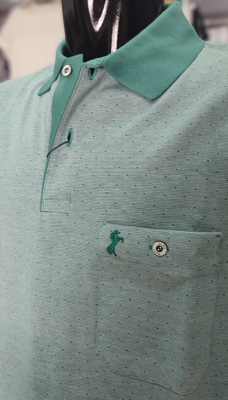 POLO CUELLO VIVOS EN VERDE
